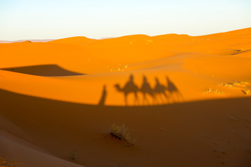 Obraz na płótnie Canvas Sahara Desert. Merzouga Morocco.
