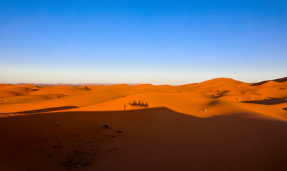 Naklejka na ściany i meble Sahara Desert. Merzouga Morocco.