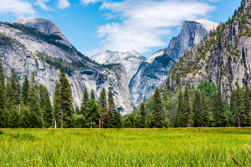 View of Half Dome from the Yosemite Valley Meadows, May 2018.