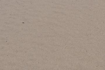 Unperturbed sand at the deserted Zuma Beach during the Covid-19 pandemic, Malibu, Southern California