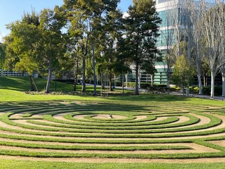 A green lawn in the center of which is a maze of grass. Sunny day, beautiful view