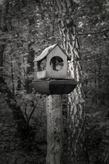 Birdhouse on the tree. Food for birds. Bird feeders. Black and white photography