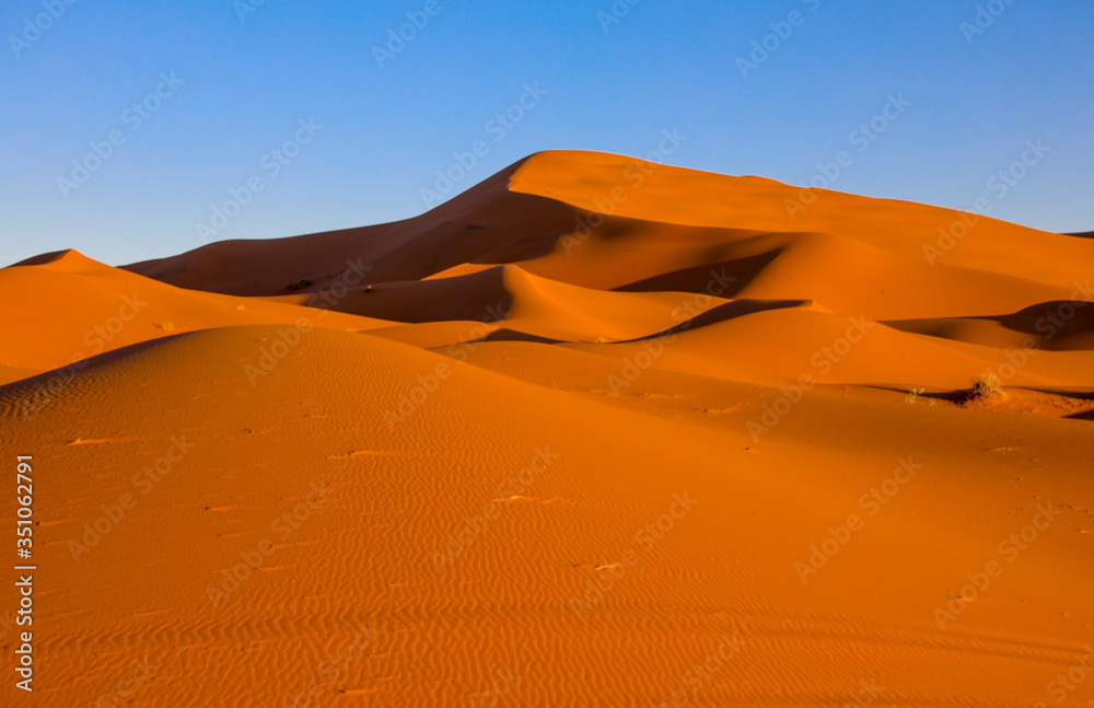 Wall mural Sahara Desert. Merzouga Morocco.