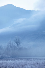 winter landscape with fog near Feltre