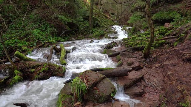 A small stream in a ravine has swelled to a raging whitewater after heavy rains