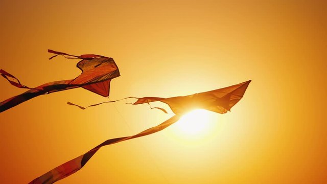 Two light kitesnakes hover in the sky against the orange sun