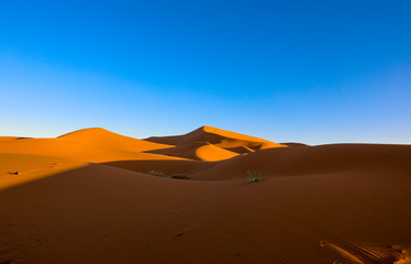 Fototapeta na wymiar Sahara Desert. Merzouga Morocco.