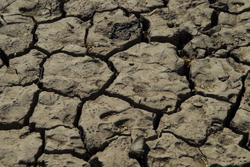 tierra cuarteada desertificacion