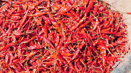 Fototapeta premium bag of dried red chili at the spice market of old delhi