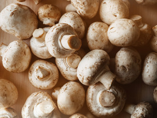 view from above. many champignons. food. home cooking