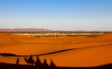 Camels. Sahara Desert. Merzouga Morocco.