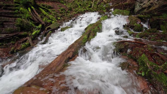 A small stream in a ravine has swelled to a raging whitewater after heavy rains, a fallen tree lies in the water