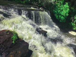 waterfall in the forest