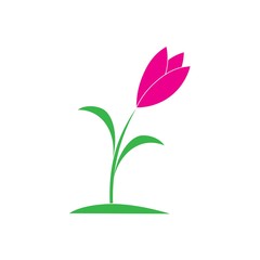 tulip flower logo vector design
