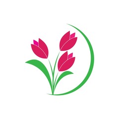 tulip flower illustration logo vector design