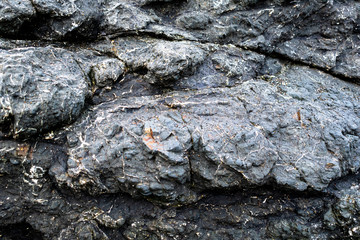 rock pattern trexture