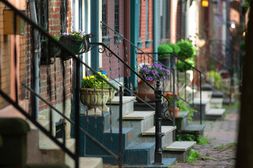 Flowers on the stoop