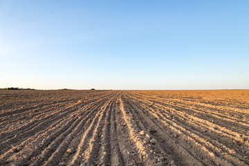 Obraz premium Rural landscape. Agricultural land, recently plowed and prepared for sowing a field, against the blue sky, at sunset.