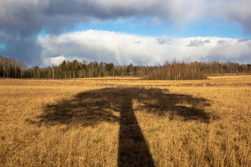 autumn landscape in the forest