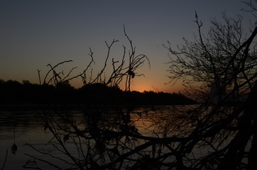 Fototapeta premium Paisaje flora y rio dulce santiago del estero