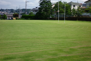 Fototapeta premium 眩しいよく手入れされたフィールドの緑豊かな芝生