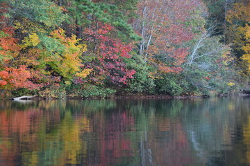 autumn colors on the lake