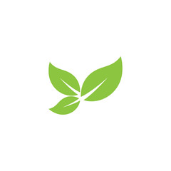 Leaf Logo Template vector symbol