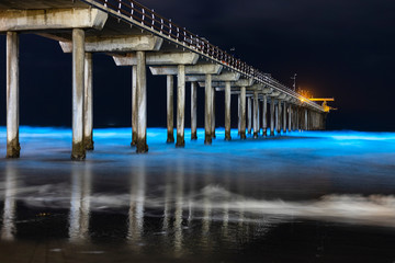 Bioluminescent waves glow blue at night around the pier at Scripps Institute of Oceanography. © Kevin Key