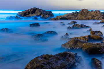 Bioluminescent waves glow blue at night around sme rocks at Scripps Coastal Reserve.