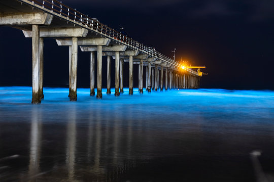 Bioluminescent waves glow blue at night around the pier at Scripps Institute of Oceanography.
