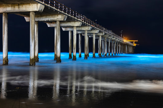 Bioluminescent waves glow blue at night around the pier at Scripps Institute of Oceanography.