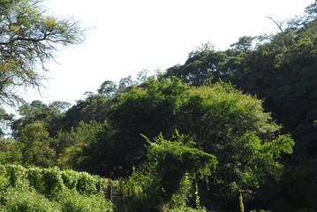 Monte Santiago del Estero