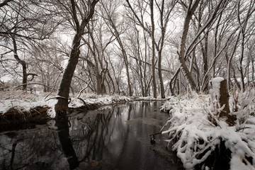 Snowy landscape in the midwest 