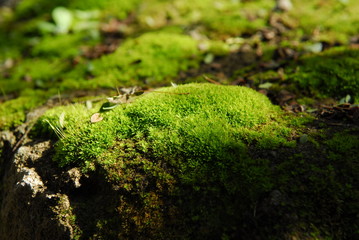 Monte Santiago del Estero