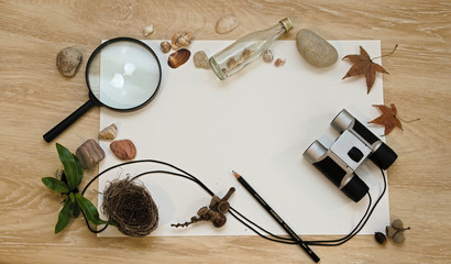 Collection from the beach and the forest scattered on the wooden table with white background. 
