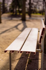 Fototapeta premium 公園のベンチ
