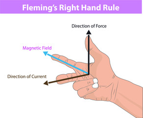 Physics - fleming's right hand rule. magnetic field. direction of current. direction of force. current by direction of magnetic field and force. Fleming's Right Rule infographic