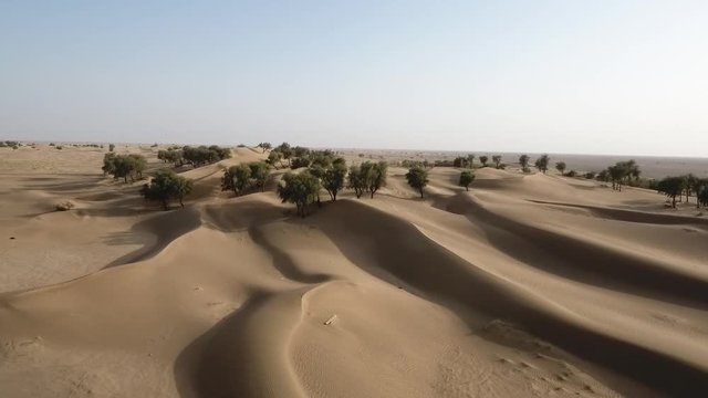 A stunning snap shot of the drone in the Hema Desert, trees, drylands and red dunes, Sultanate of Oman
