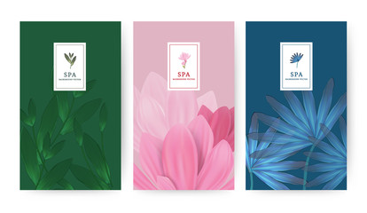 Set of minimal banner for branding packaging. Tropical summer plant and leaf with shadow background. For spa resort luxury hotel, yoga, beauty, cosmetic, organic texture. Ginkgo leaf drawing line