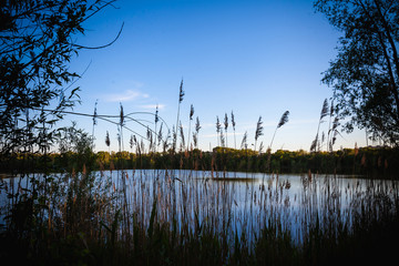 sunset over the river