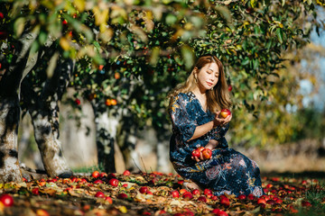 Beautiful asian woman in blue dress picking and smelling red apples in an orchard at Christchruch, New Zealand.