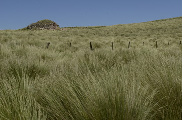 Paisaje, cuesta del portezuelo Catamarca