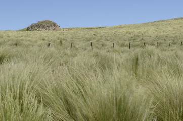 Paisaje, cuesta del portezuelo Catamarca