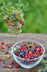 berries of wild strawberries and forest blueberries on a background of nature on an old rustic board. Country style. Soft focus. Space for text