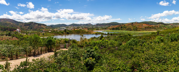 Fototapeta na wymiar View of a lake surrounded by coffee plantations in Vietnam