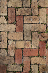 old pavement or red brick sidewalk with sprouted grass background, pattern, texture Vertical photo.
