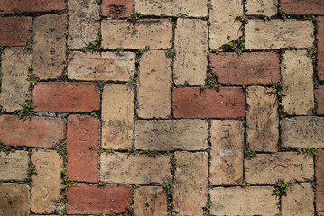 old pavement or red brick sidewalk with sprouted grass background, pattern, texture