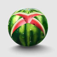 Watermelon Fresh fruit cross cut slice, 3d realistic icon. Delicious dessert. Healthy food. Vector illustration