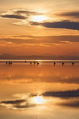 Fototapeta na wymiar サロマ湖の夕景