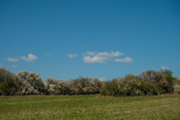 Obraz premium Landschaft im Frühling